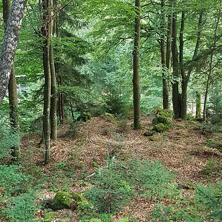 Ferienhaus Mauth Hébergement de vacances Mauth