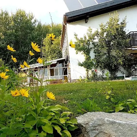Ferienhaus Mauth *
