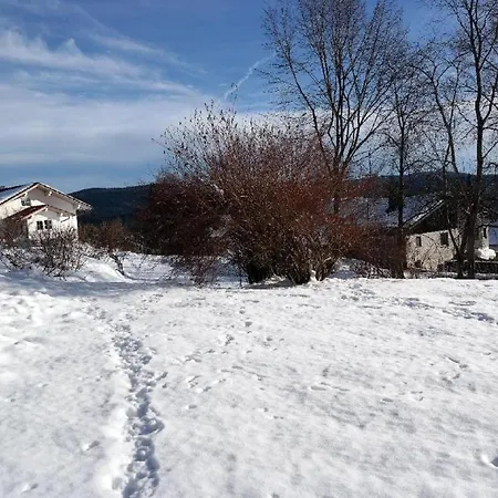 Hébergement de vacances Ferienhaus Mauth *
