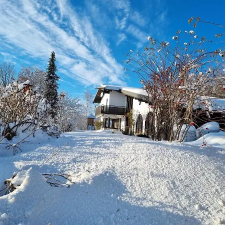 Ferienhaus Mauth Mauth