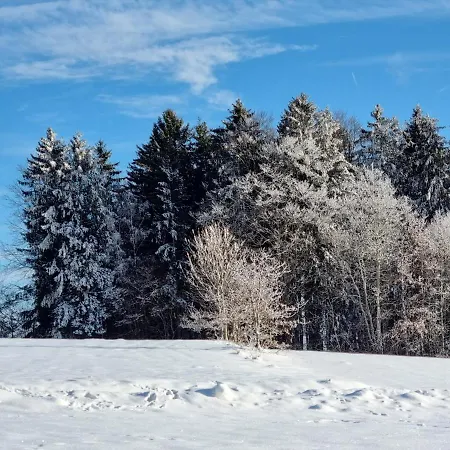 Holiday home Ferienhaus Mauth Mauth
