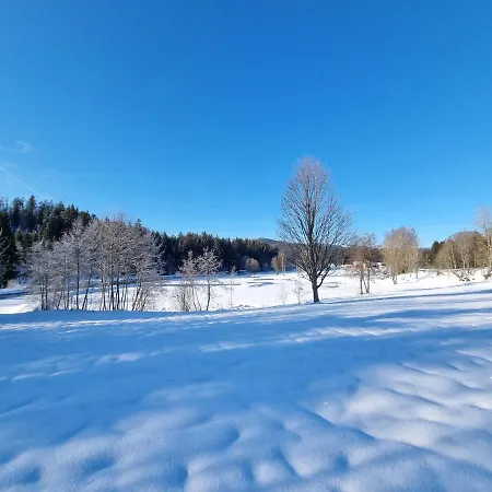 Ferienhaus Mauth Holiday home *