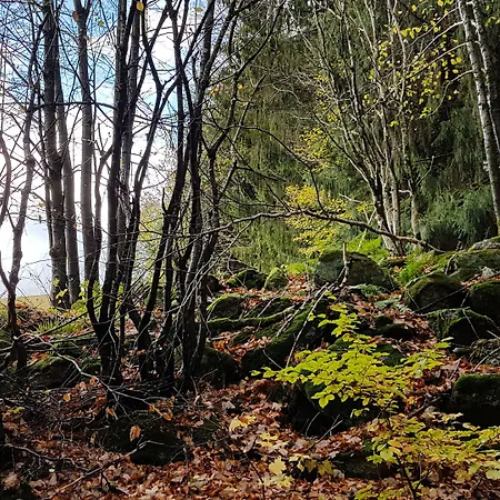 Ferienhaus Mauth Сasa de vacaciones Mauth