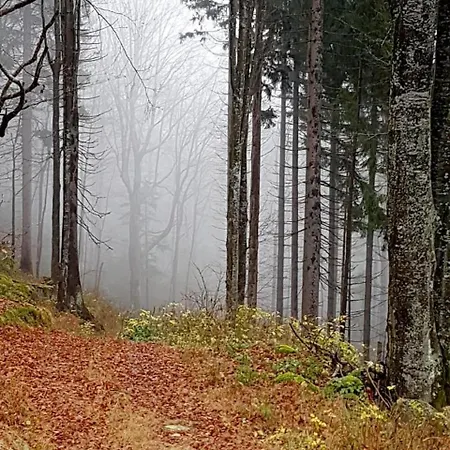 Ferienhaus Mauth * Mauth