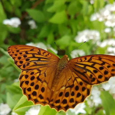 Ferienhaus Mauth Сasa de vacaciones