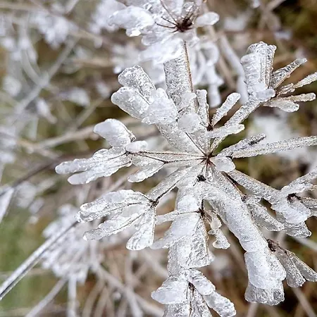 Сasa de vacaciones Ferienhaus Mauth