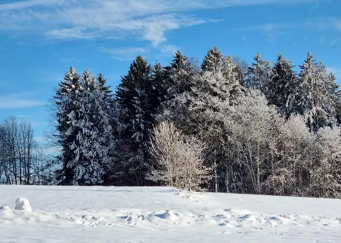 Hébergement de vacances Ferienhaus Mauth Mauth