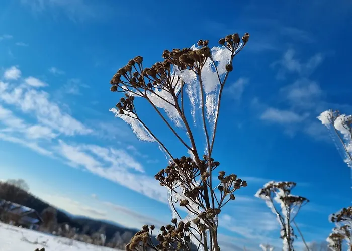 Ferienhaus Mauth * Mauth