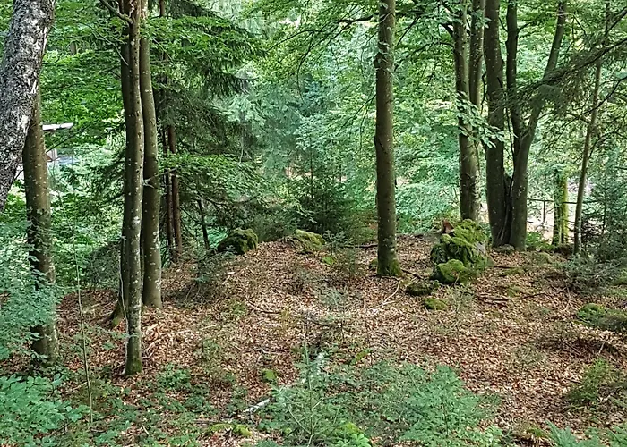 Ferienhaus Mauth Ferienhaus Mauth