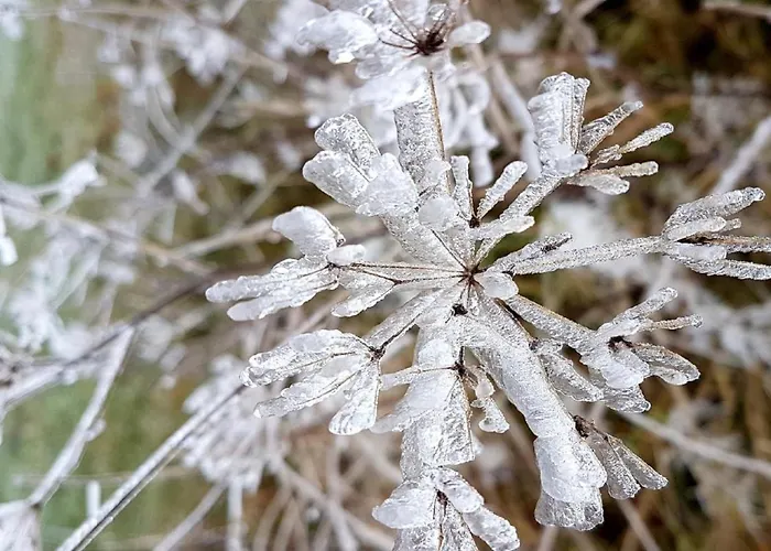 Ferienhaus Ferienhaus Mauth