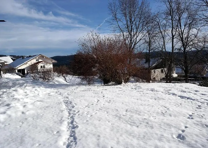 Ferienhaus Ferienhaus Mauth *